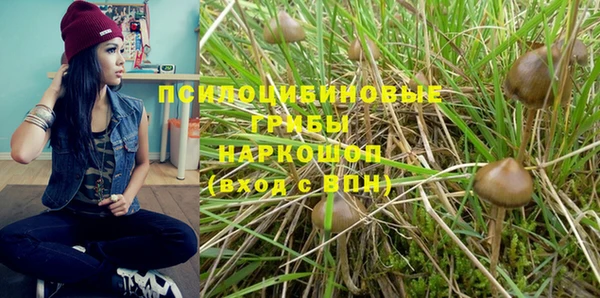 Альфа ПВП Протвино